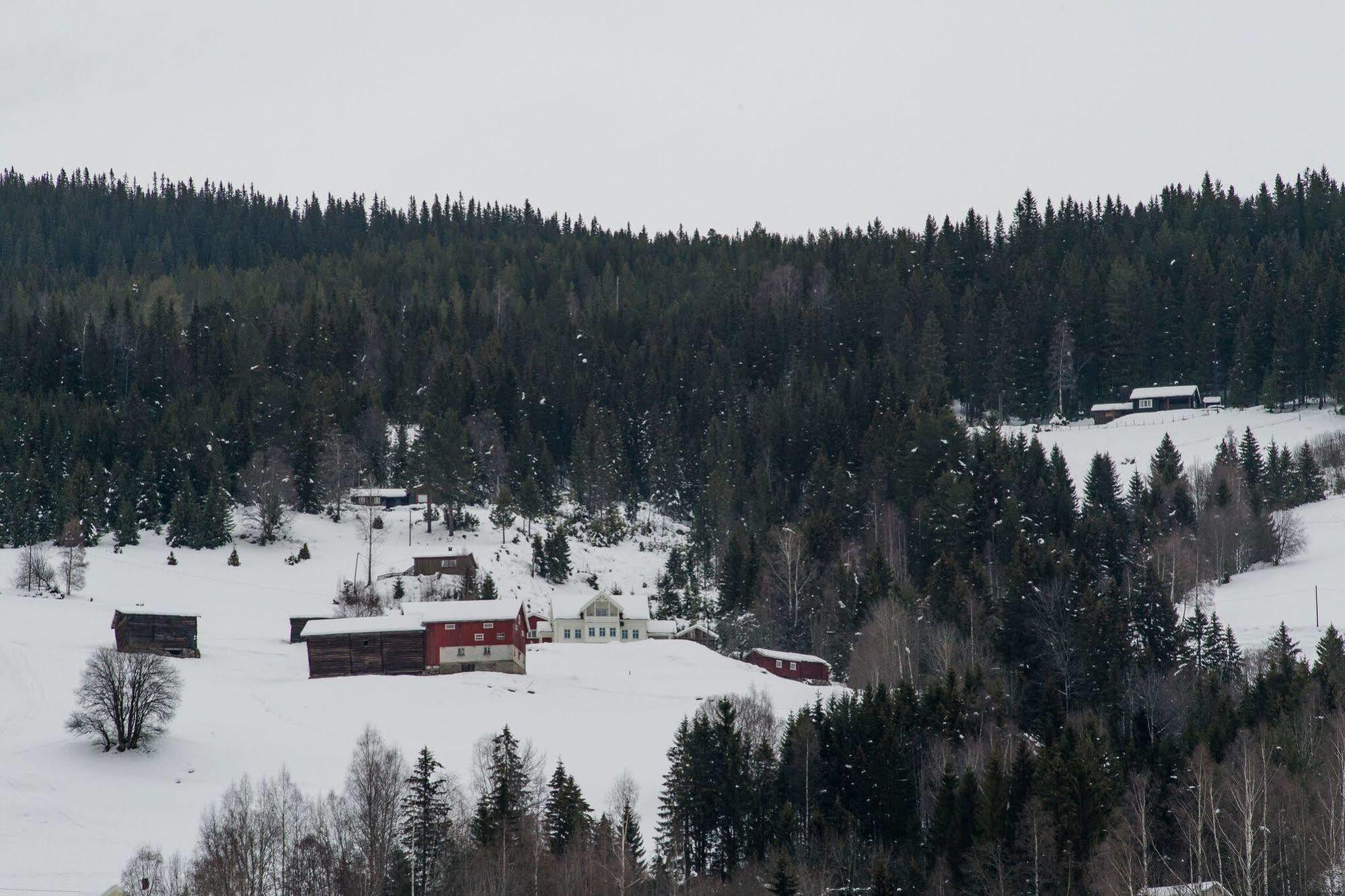 Eggedal Borgerstue Hotel Bagian luar foto